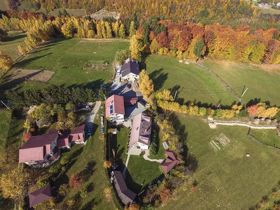 ateliere parinti copii bucuresti